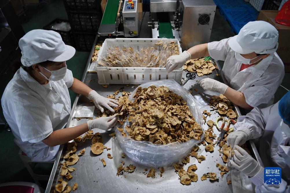 白菜qq免费赞